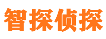 共和侦探公司